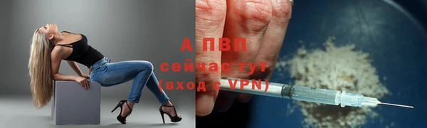 СК Алексин