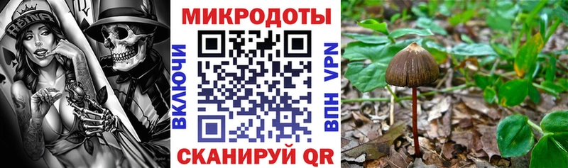 закладка  MEGA ССЫЛКА  Псилоцибиновые грибы GOLDEN TEACHER  Северодвинск 